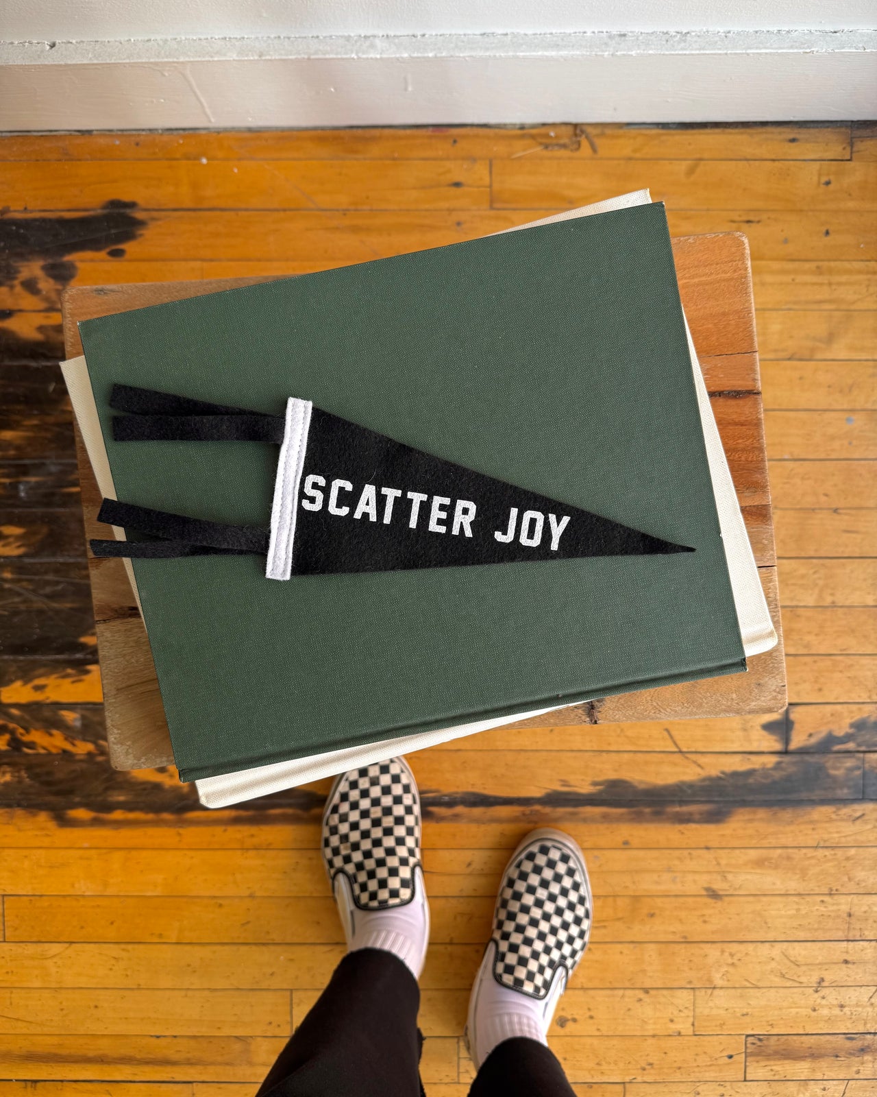 Scatter Joy Mini Pennant