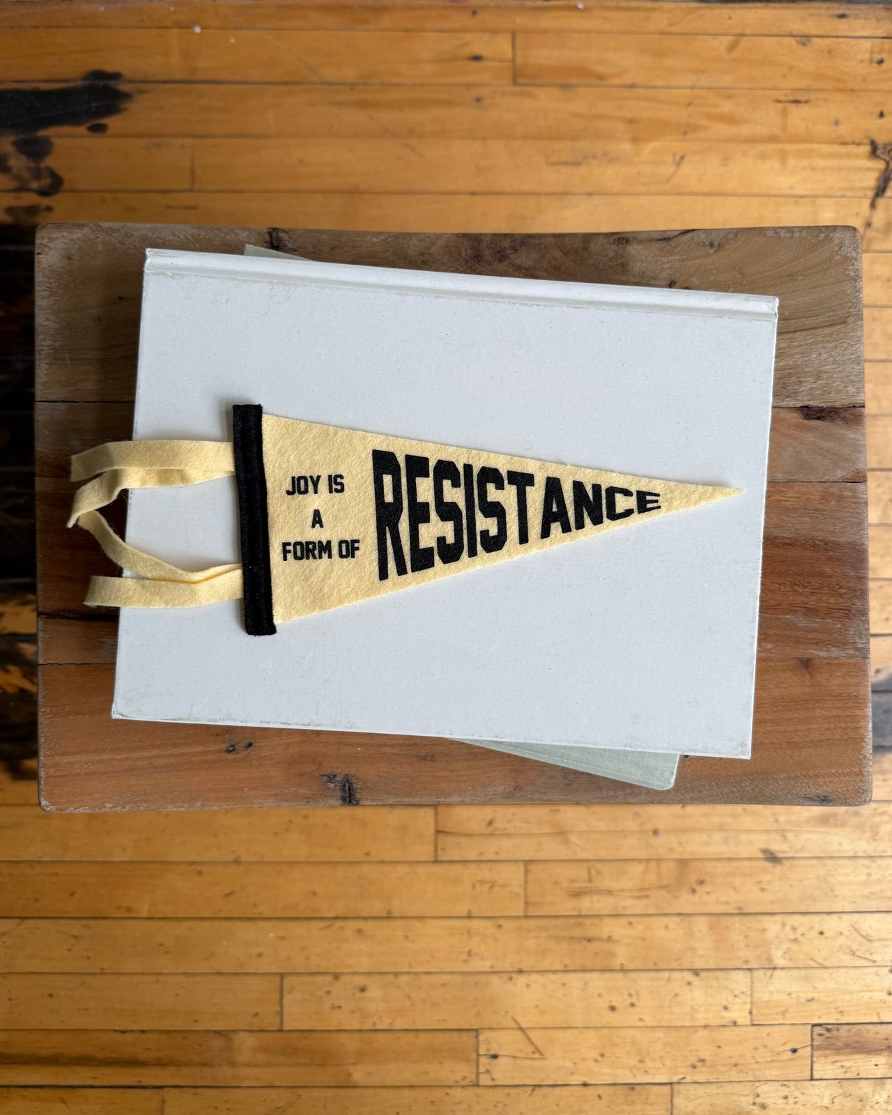 Joy is a Form of Resistance Mini Pennant